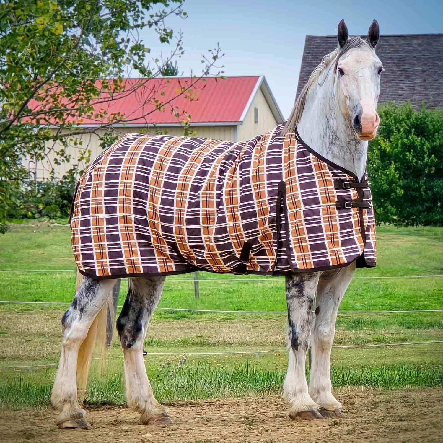 Jeffers Solaris 1200 Denier Draft Horse Turnout Sheet, 0g Fill, Brown & Cream Plaid