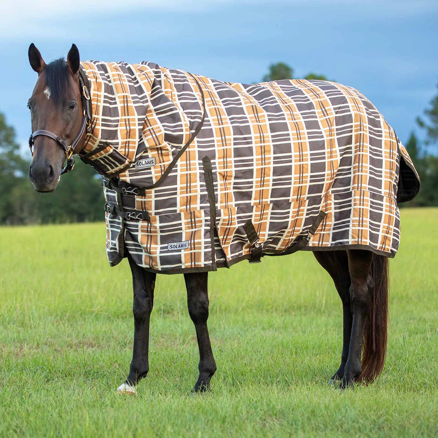 Jeffers Solaris 1200 Denier Heavy Weight Horse Turnout Blanket with Neck Rug, 360g Fill, Brown & Cream Plaid