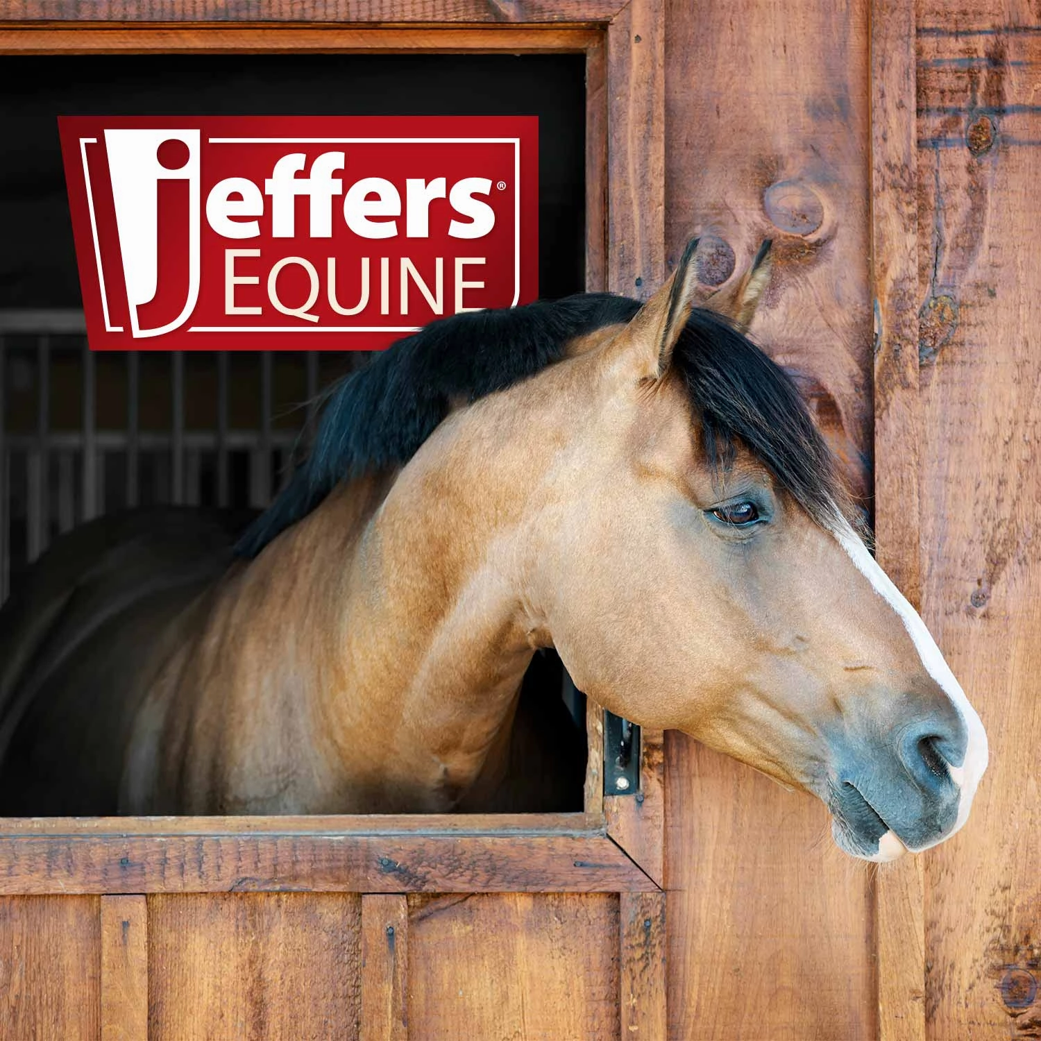 Jeffers Ultra Slow Feed 1" x 1" Nylon Hay Net for Horses, Royal Blue