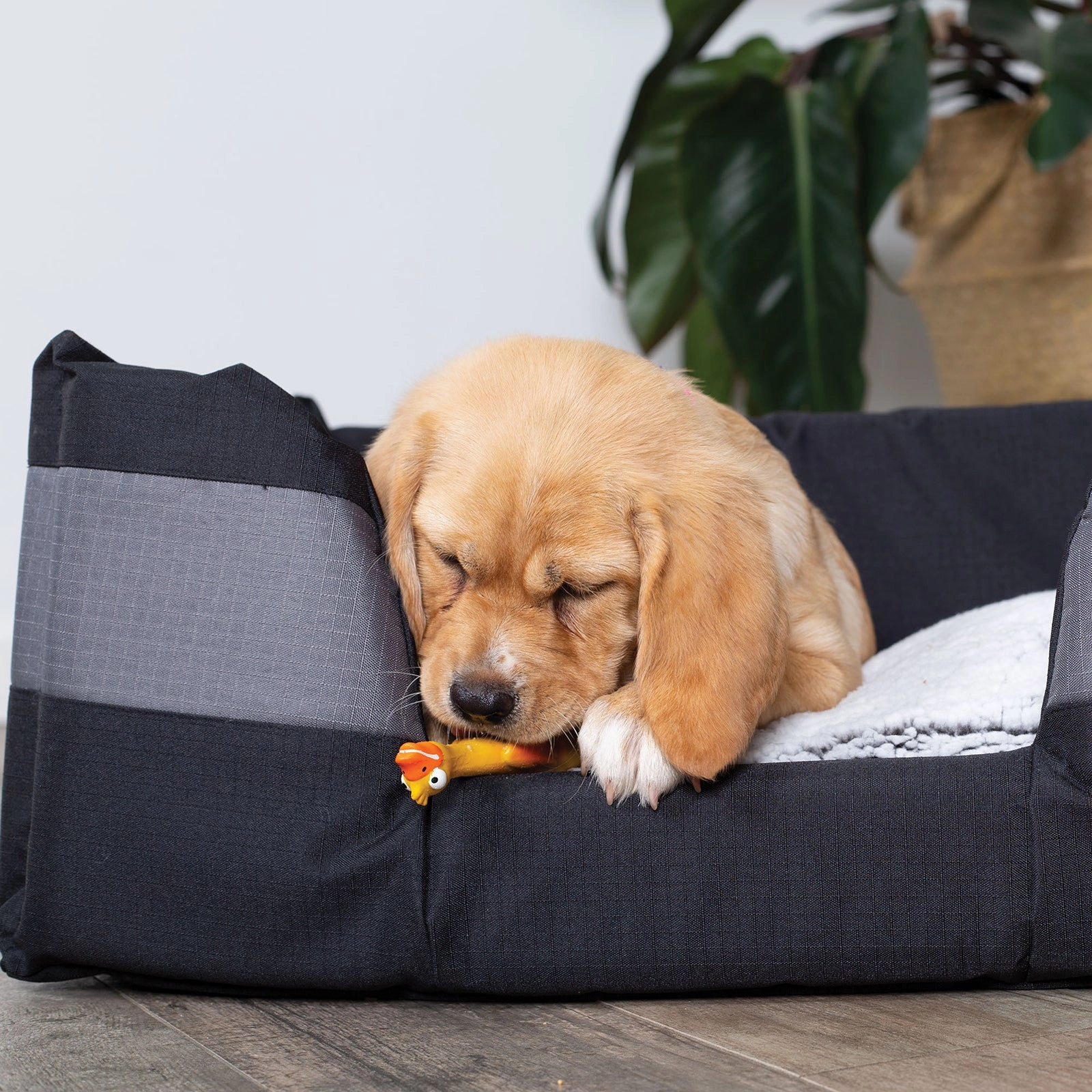 Kazoo Cave Dog Bed