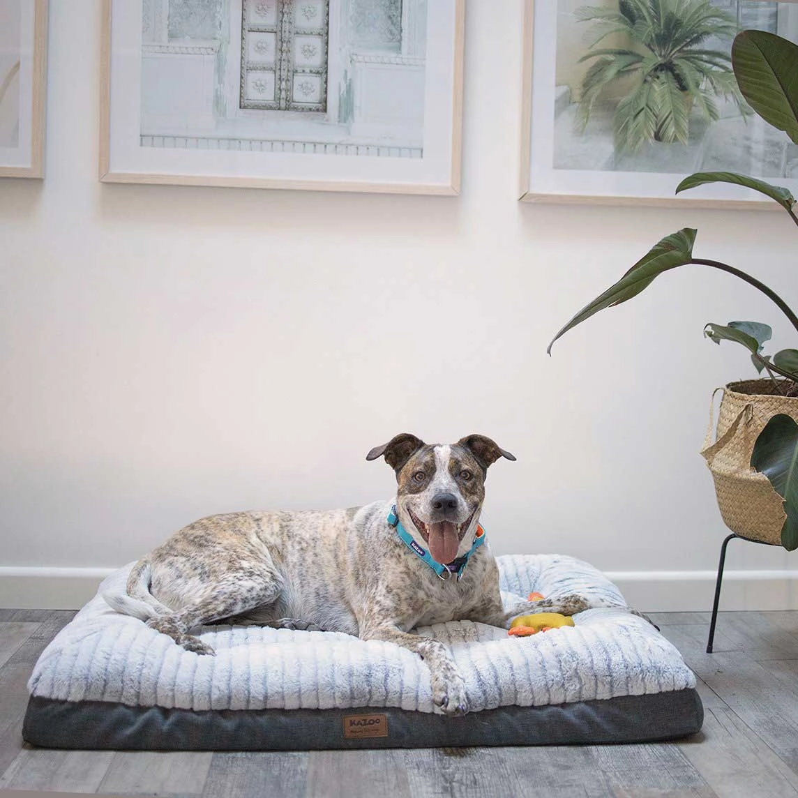 Kazoo Cloud Comfort Light Grey Dog Bed