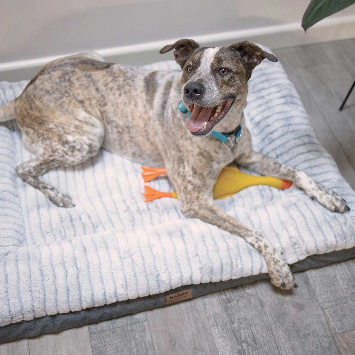 Kazoo Cloud Comfort Light Grey Dog Bed
