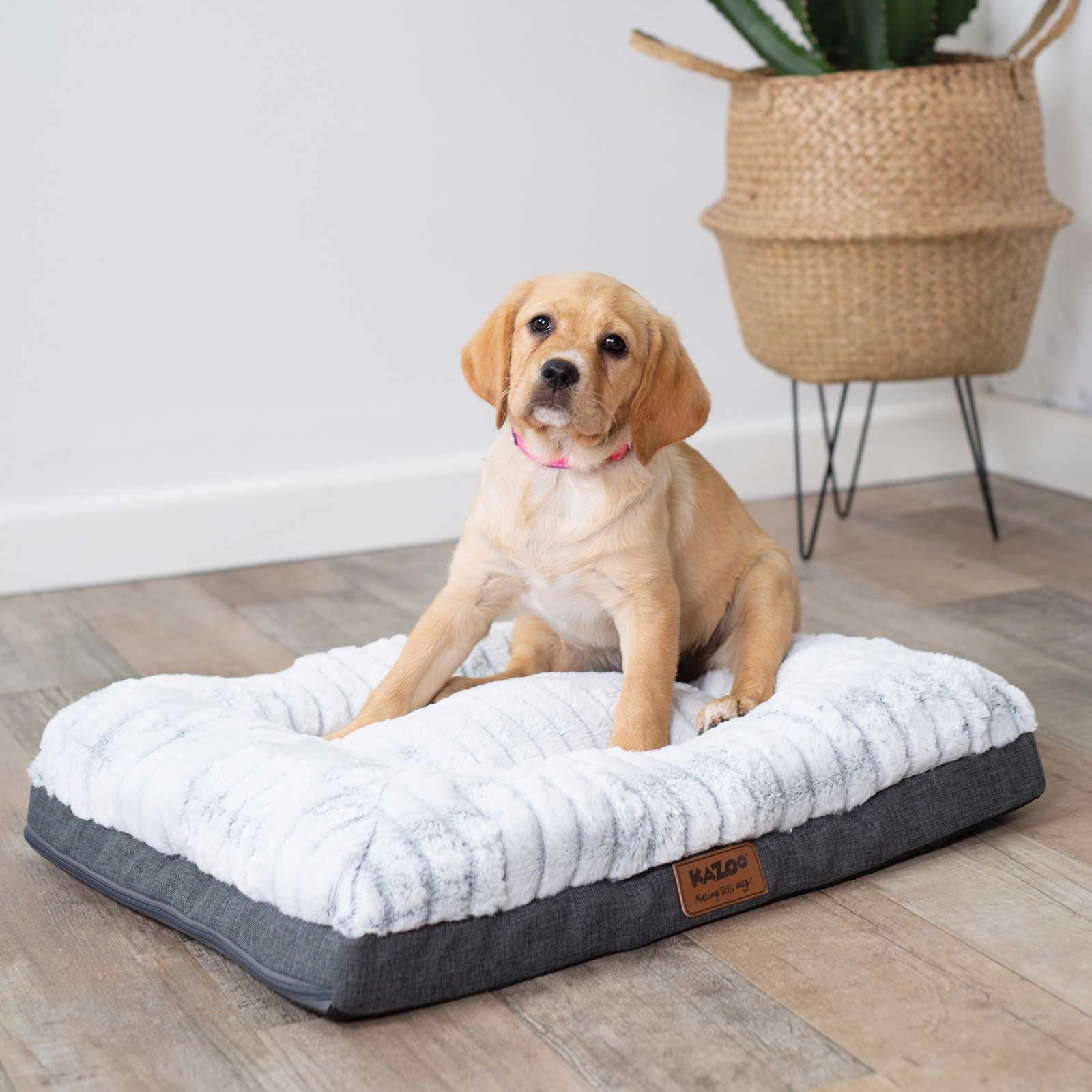 Kazoo Cloud Comfort Light Grey Dog Bed