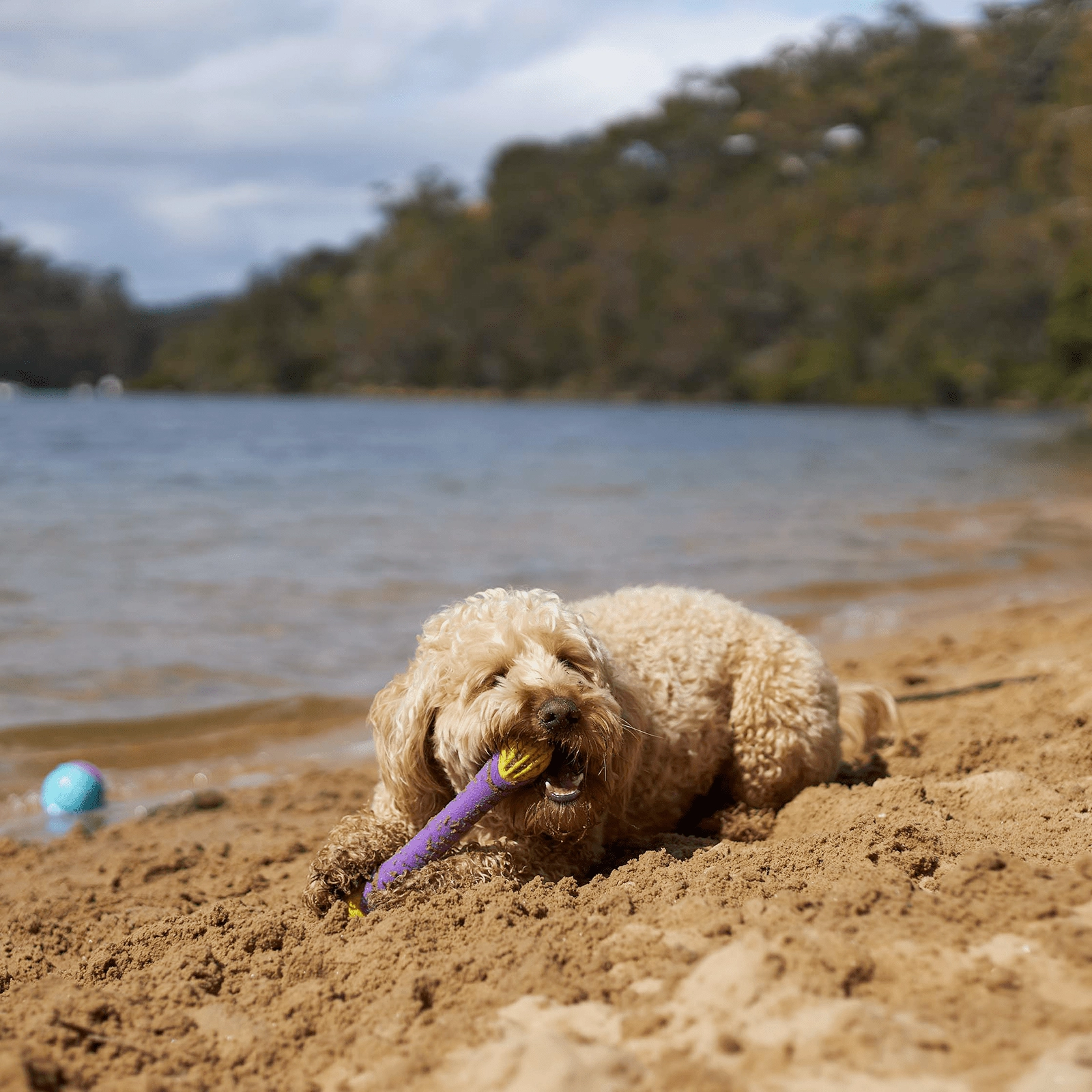 Kazoo Dog Toy Extreme Play Chew Stick