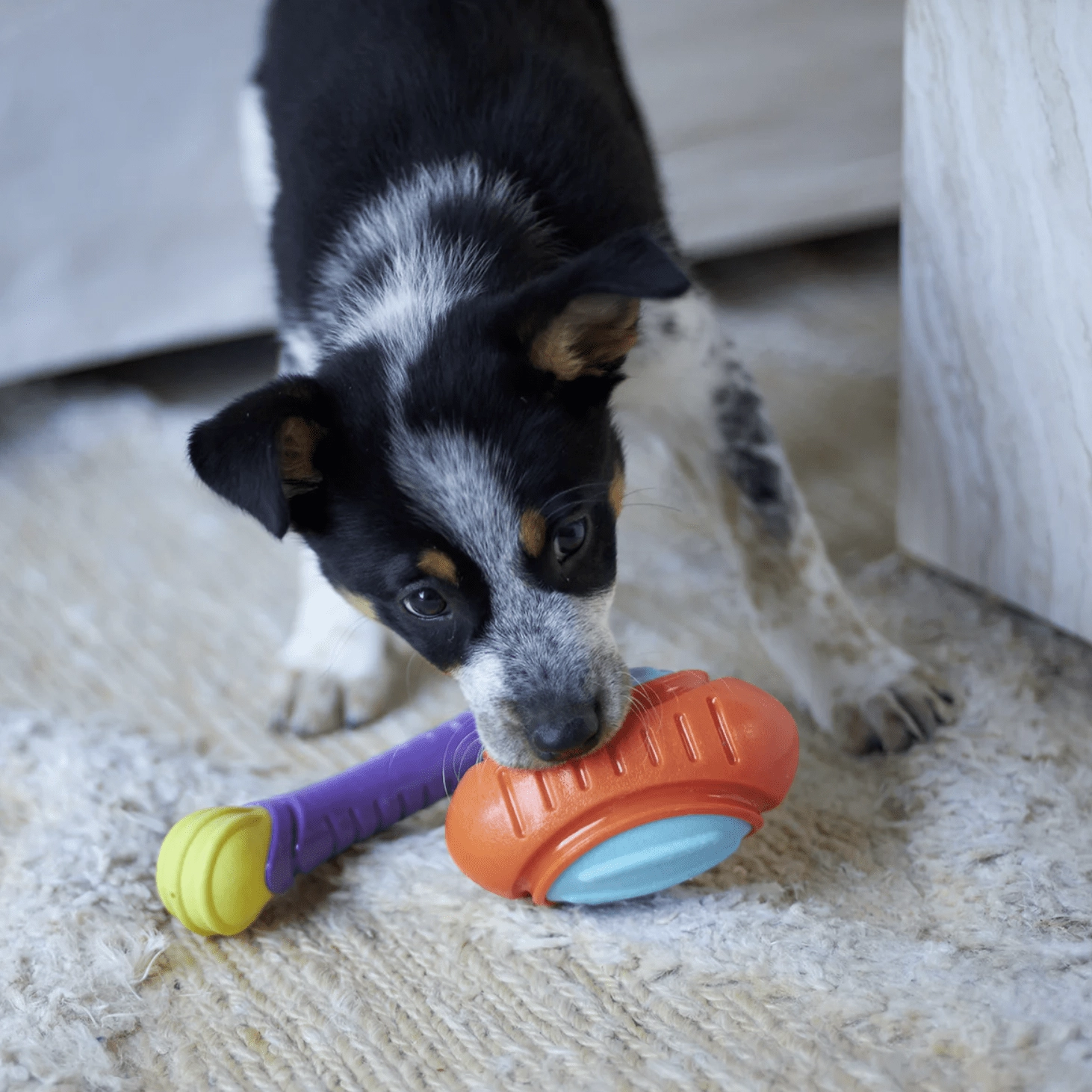 Kazoo Dog Toy Extreme Play Tough Footy