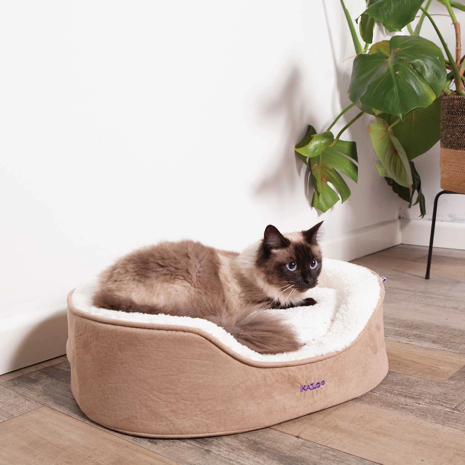 Kazoo Manhattan Coffee Dog Bed