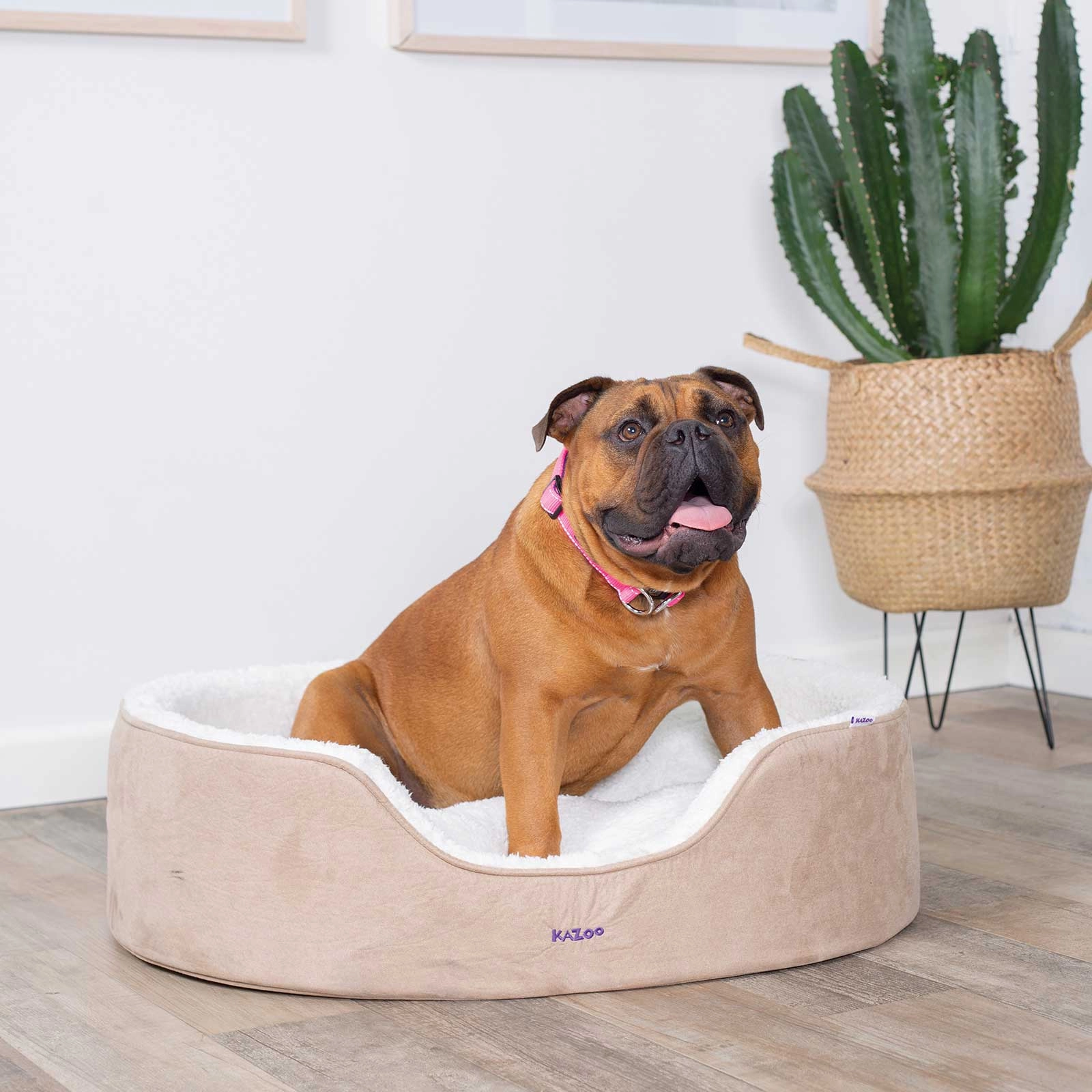 Kazoo Manhattan Coffee Dog Bed