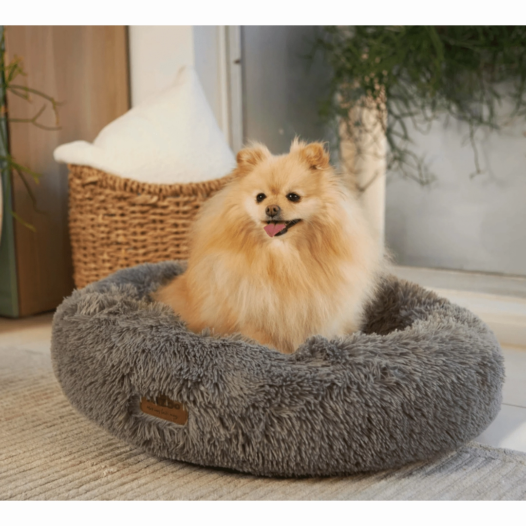 Kazoo Peacock Mud Dog Bed