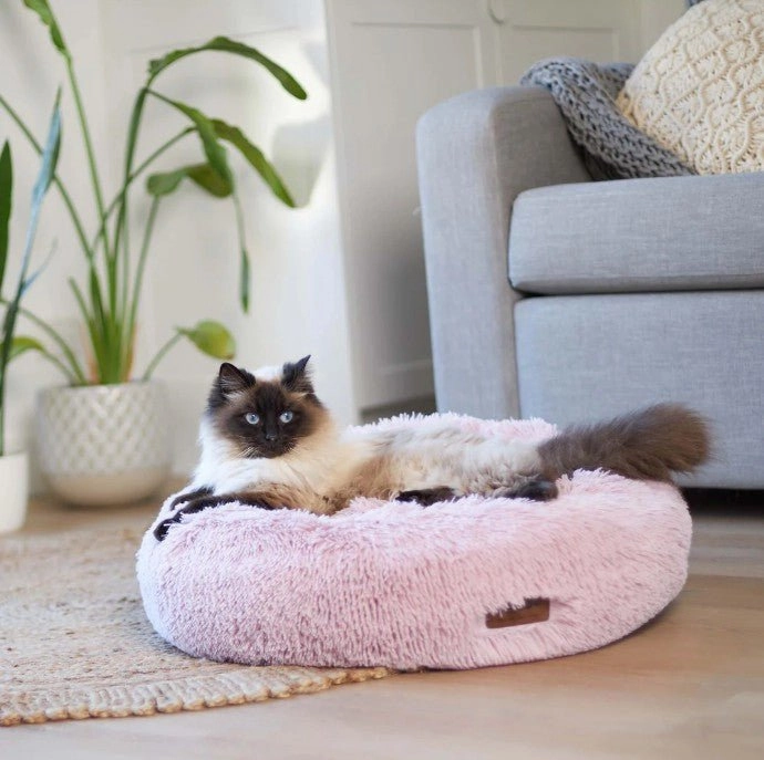 Kazoo Peacock Rose Dog Bed