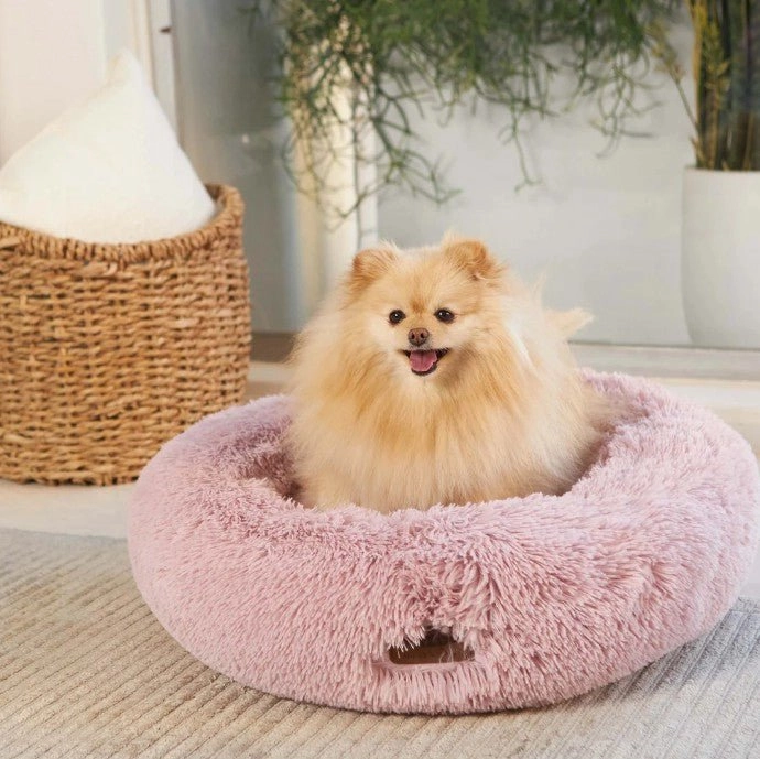 Kazoo Peacock Rose Dog Bed