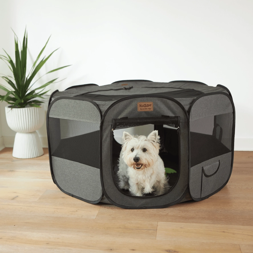 Kazoo Premium Pop Up Pet Playpen