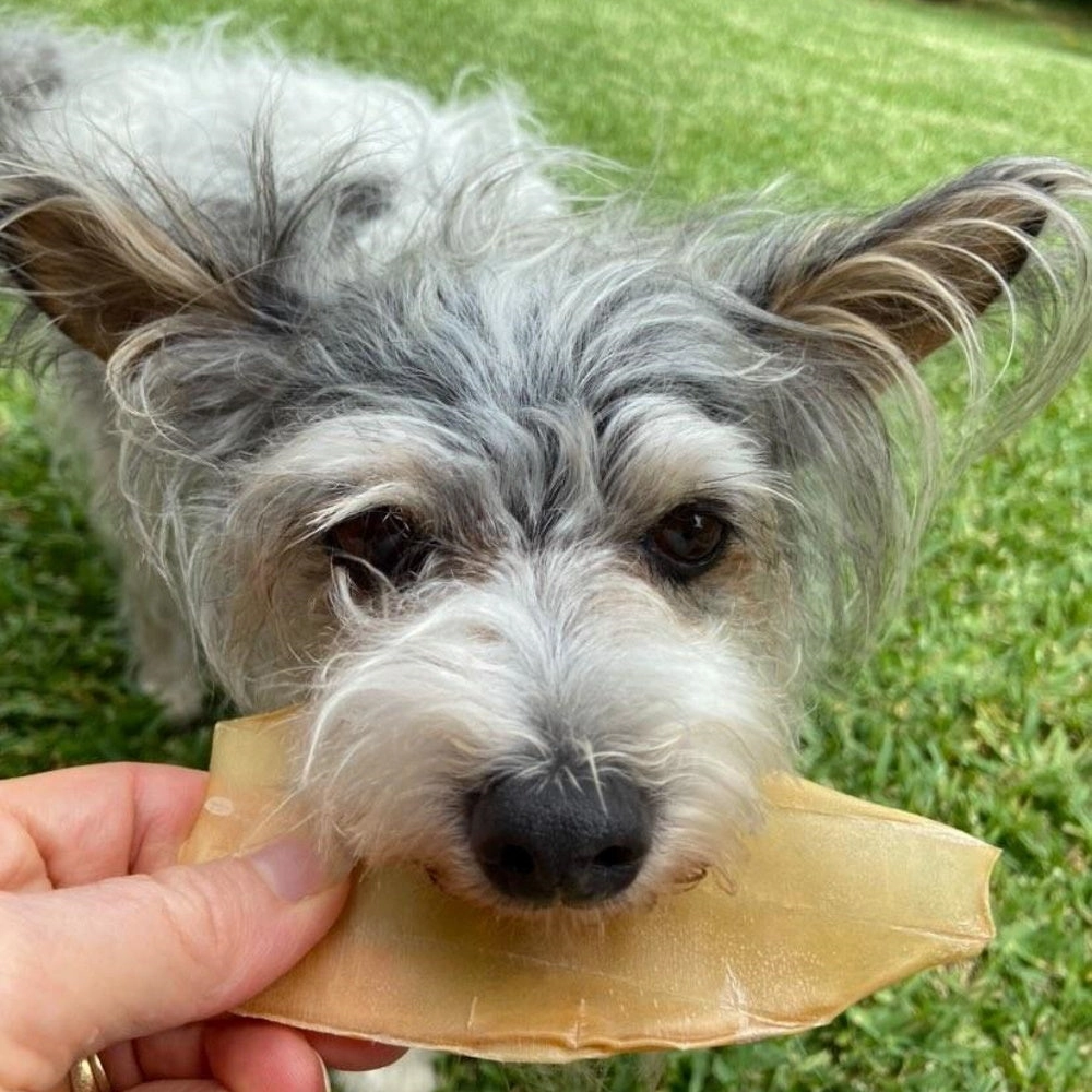 L'Barkery Guppie Ear Chewz