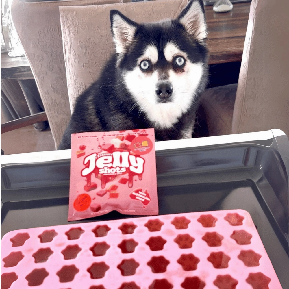 L'Barkery Jelly Shots - Peanut Butter n Jam
