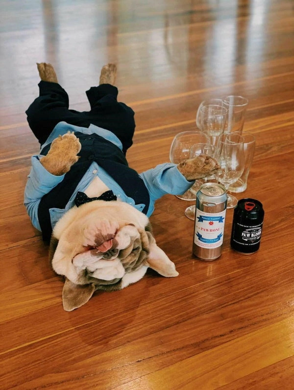 L'Barkery Paw Blonde Can