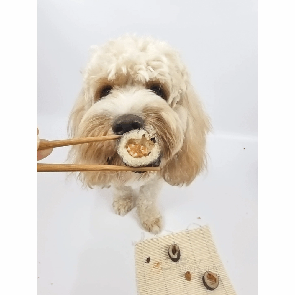 L'Barkery Pawshi Pack - Beef