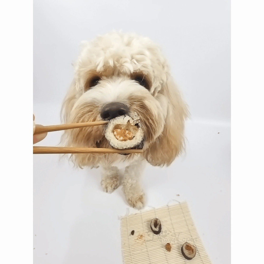 L'Barkery Pawshi Pack - Chicken