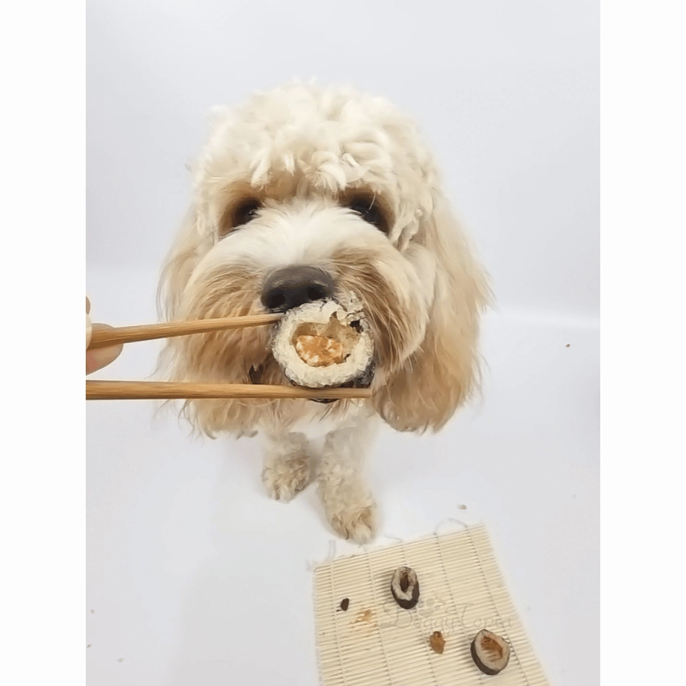 L'Barkery Pawshi Pack - Mixed