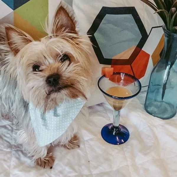 L'Barkery Pawtini