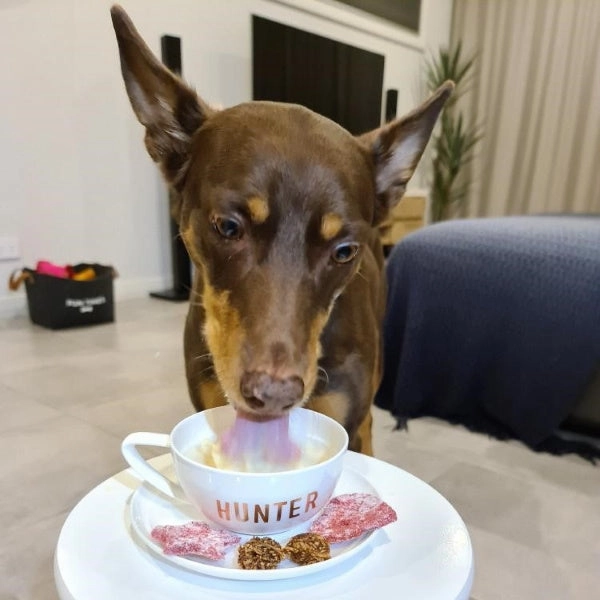 L'Barkery Puppicino - Heavenly Peanut Butter