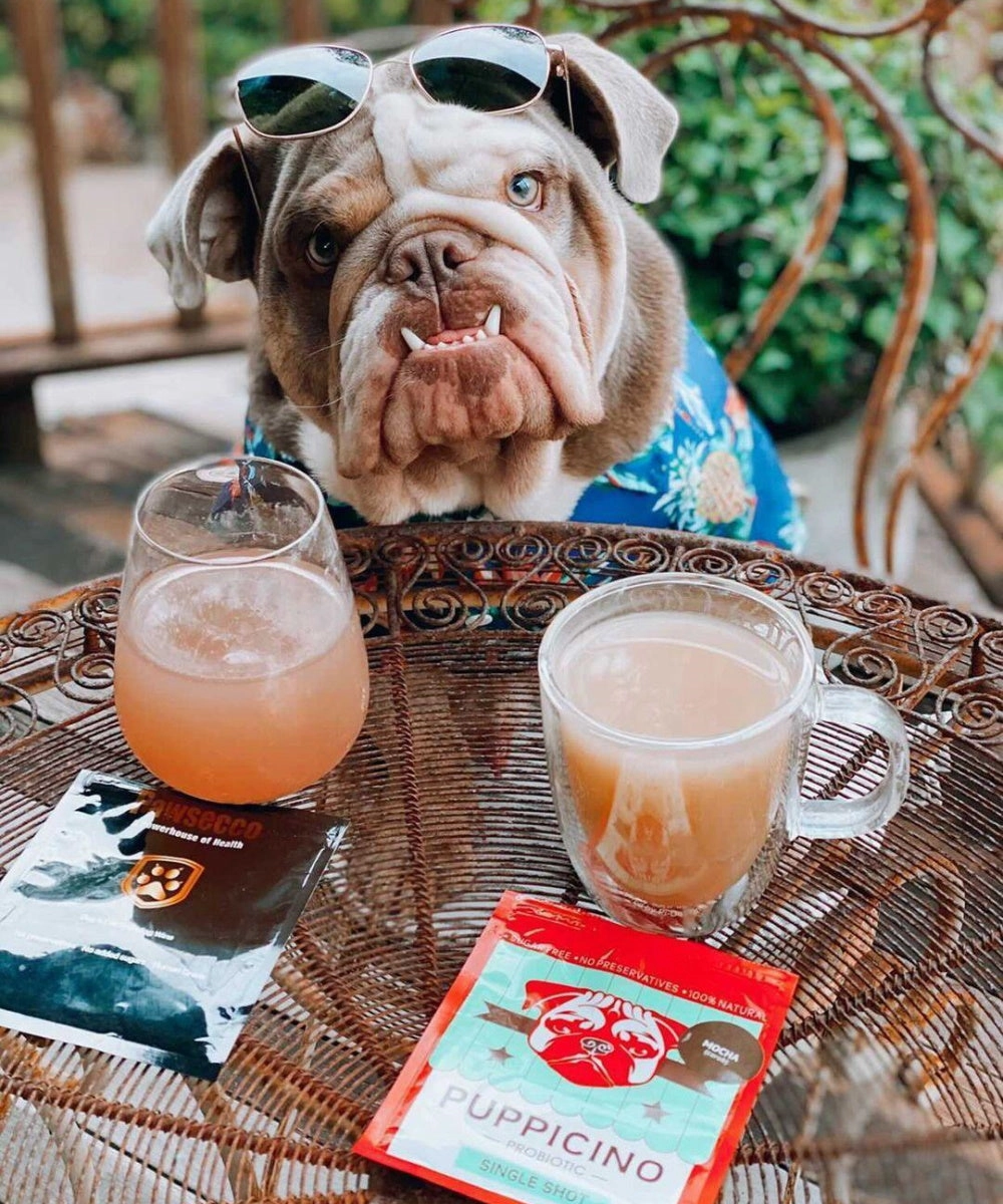 L'Barkery Puppicino - Mocha Flavour