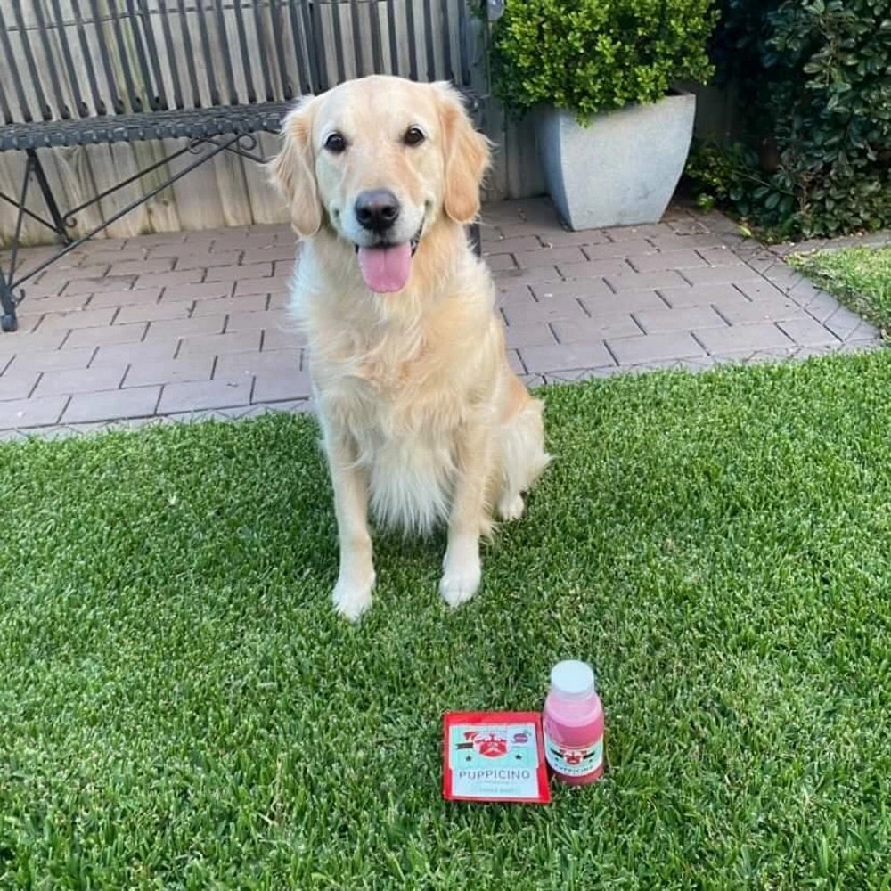 L'Barkery Puppicino Beet Latte Shot