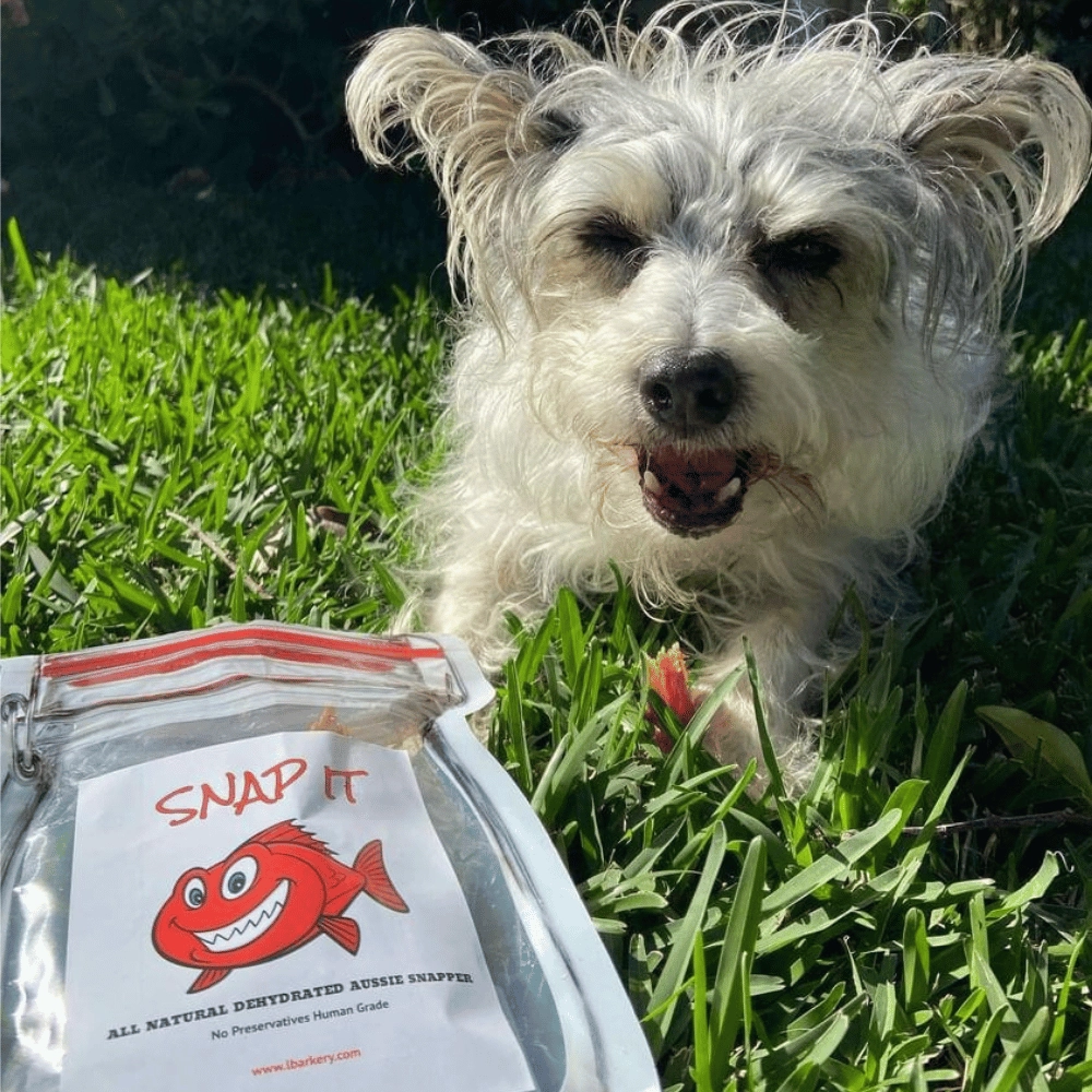 L'Barkery Snap It