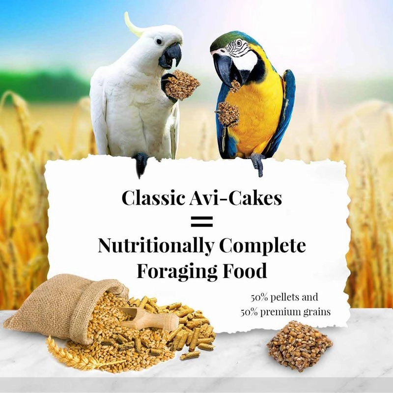 Lafeber Classic Avi-Cakes for Macaw & Cockatoo, 1 lb bag