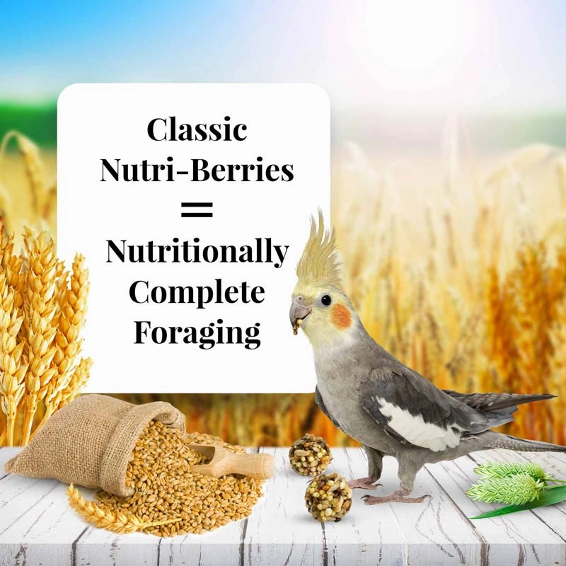 Lafeber Classic Cockatiel Nutri-Berries, 10 oz bag