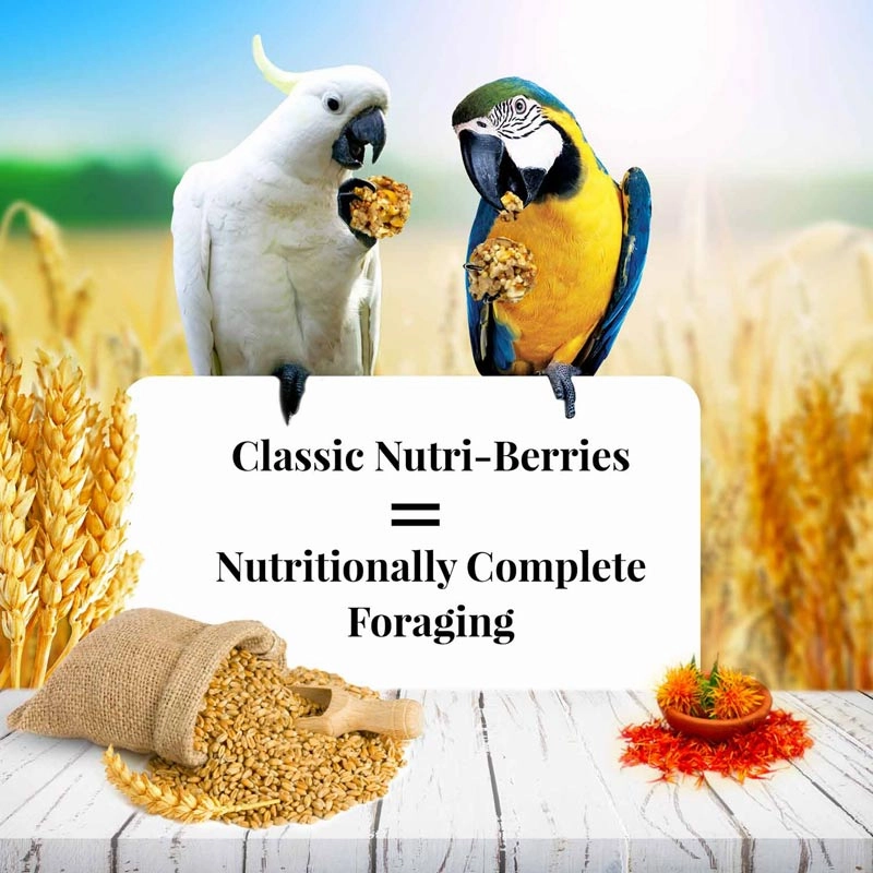 Lafeber Classic Macaw Nutri-Berries, 10 oz