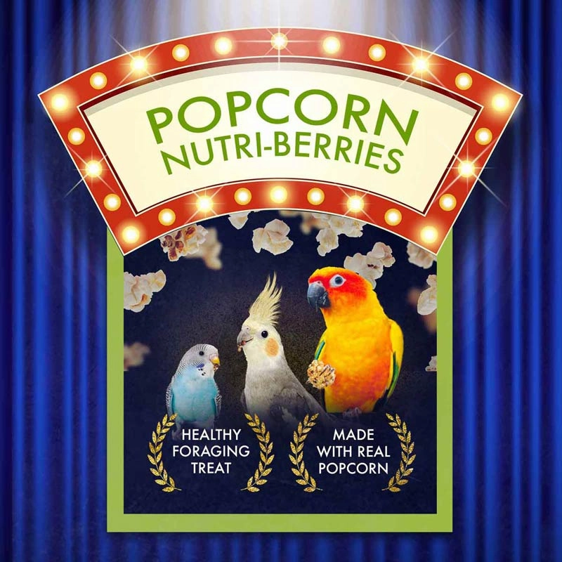 Lafeber Cockatiel Popcorn Nutri-Berries, 4 oz bag