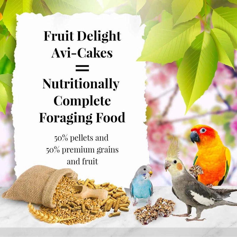 Lafeber Fruit Delight Avi-Cakes for Small Birds, 8 oz