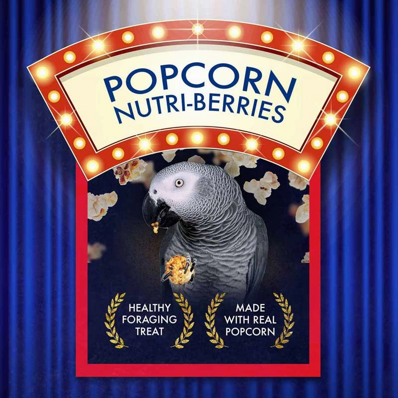 Lafeber Parrot Popcorn Nutri-Berries, 4 oz