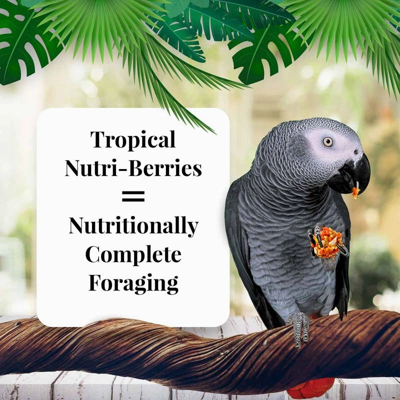 Lafeber Parrot Tropical Fruit Nutri-Berries, 10 oz bag