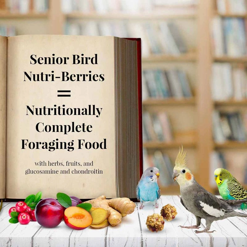 Lafeber Senior Bird Nutri-Berries for Parakeet & Cockatiel, 10 oz bag