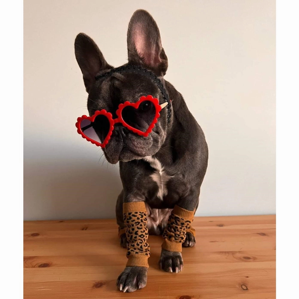 Leopard Dog Leg Warmers