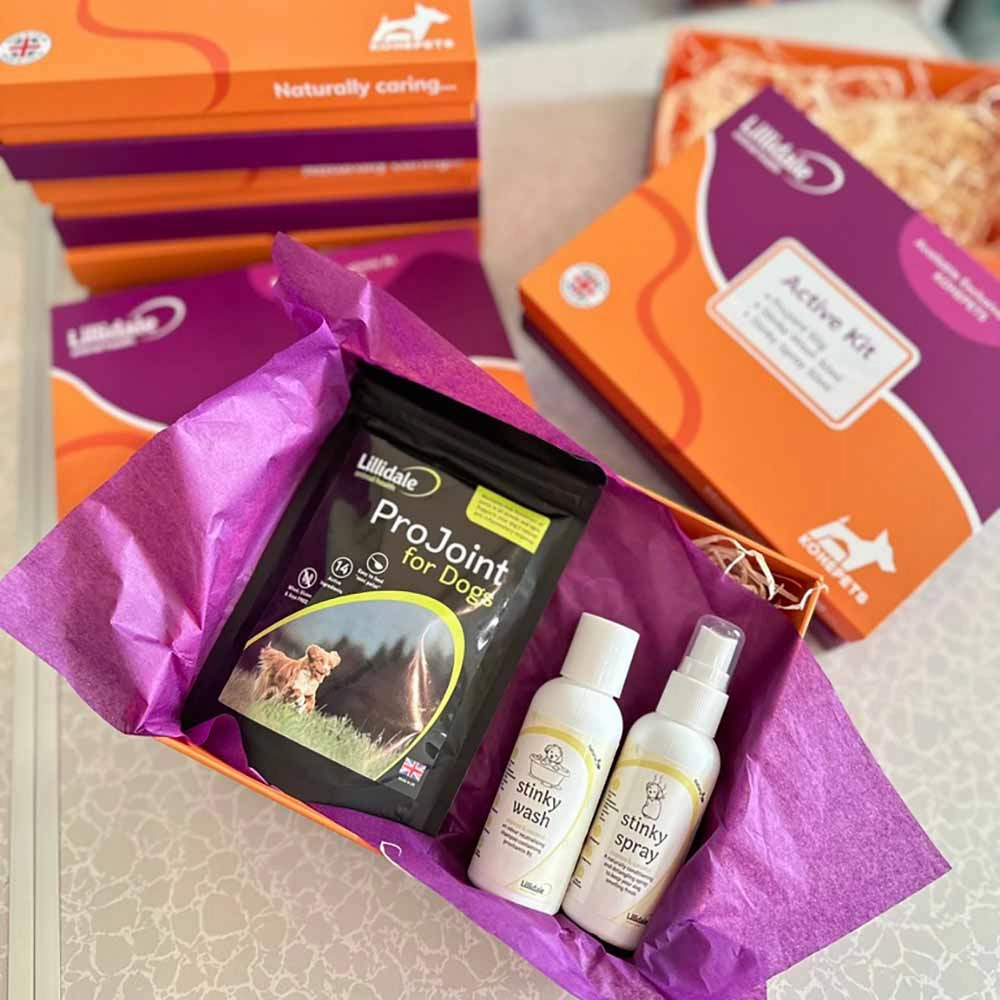 Lillidale Active Kit Dog Trial Box