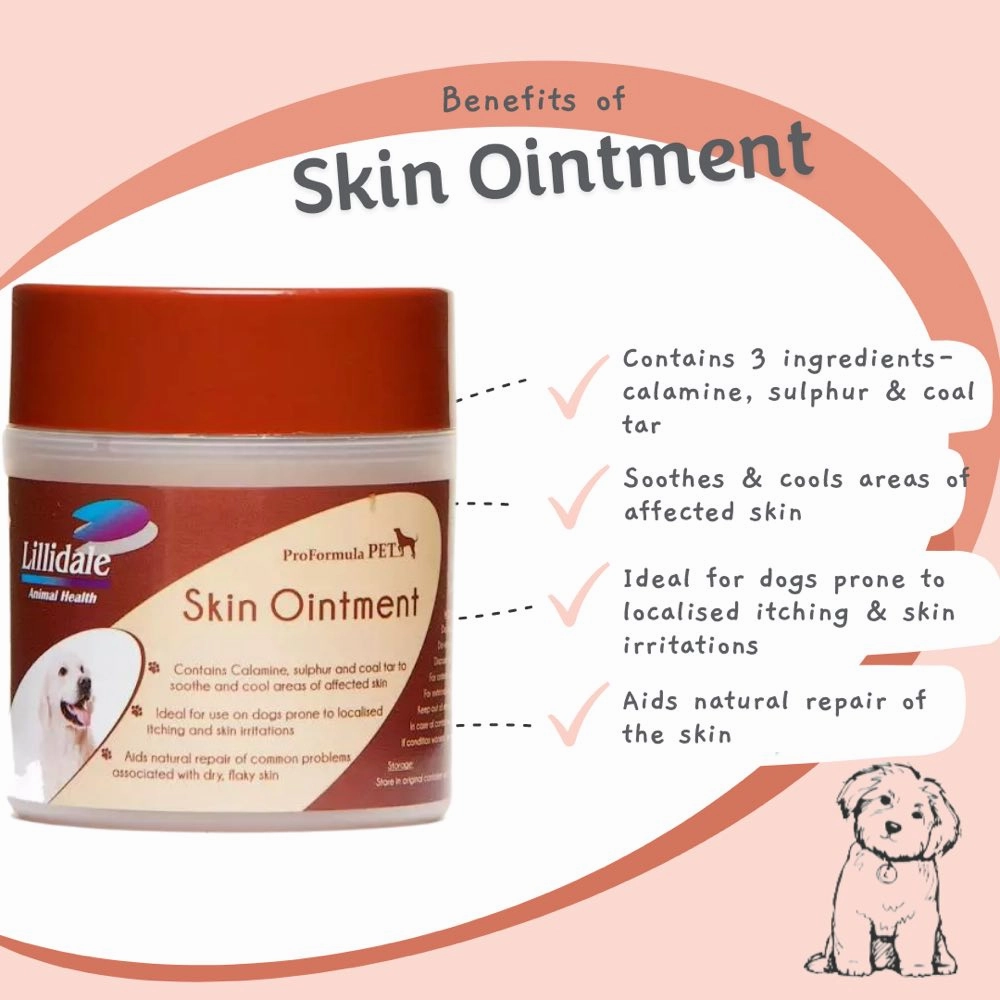 Lillidale Skin Ointment For Dogs 125g
