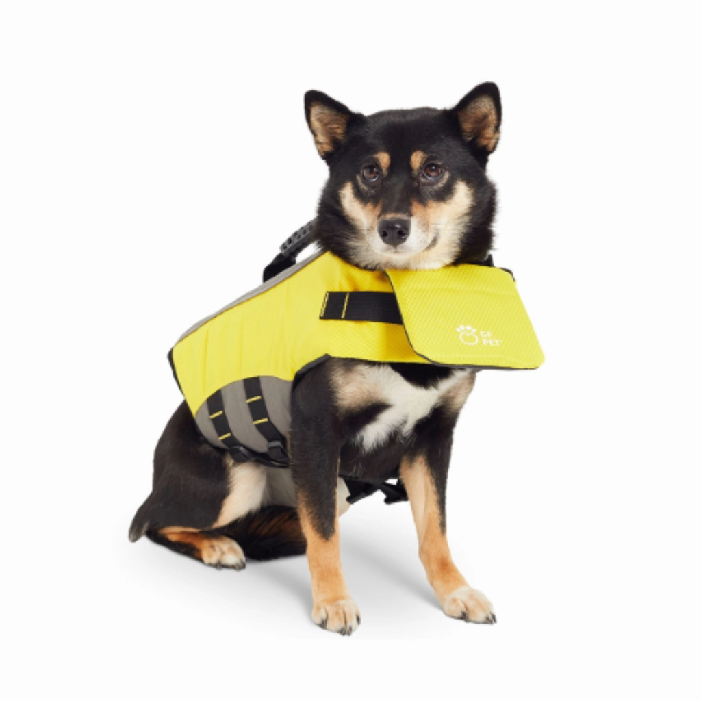 Live Vest