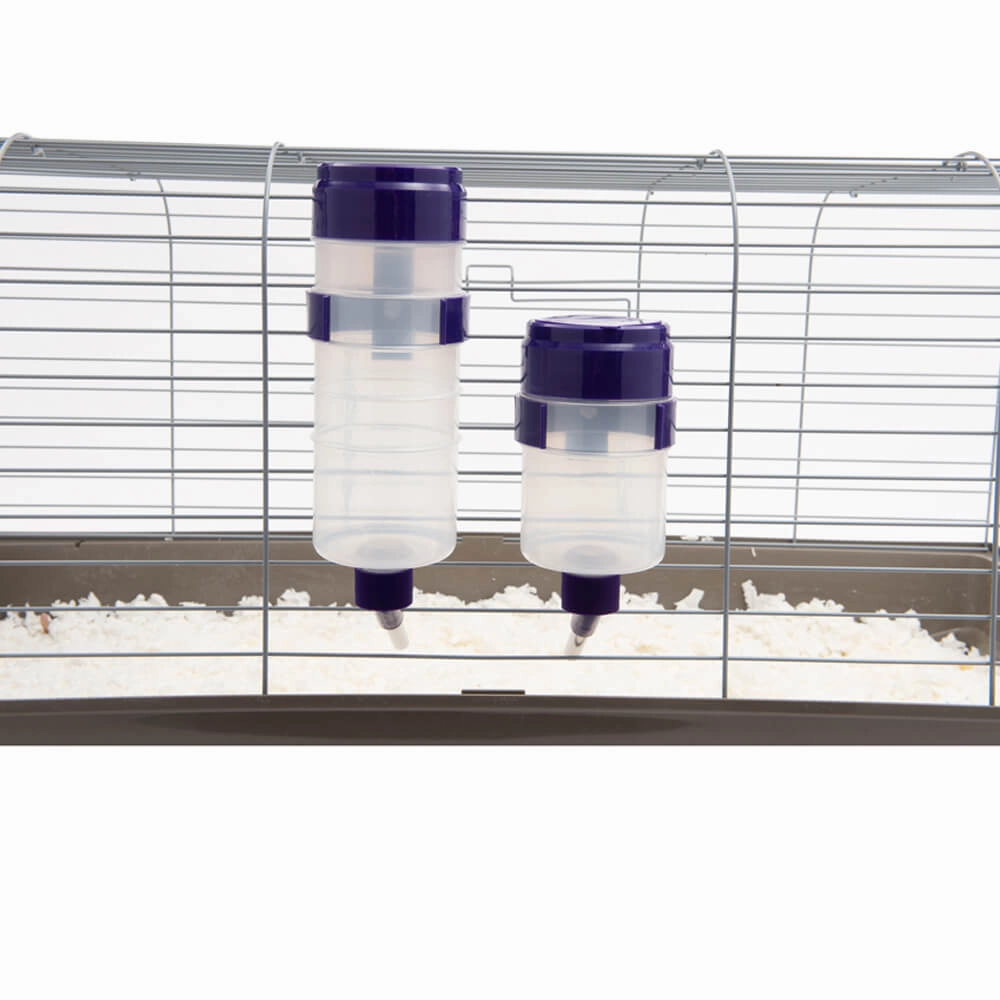 Lixit Quick Lock Flip Top Water Bottle