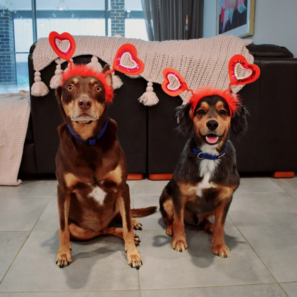 Love Heart Dog Headpiece