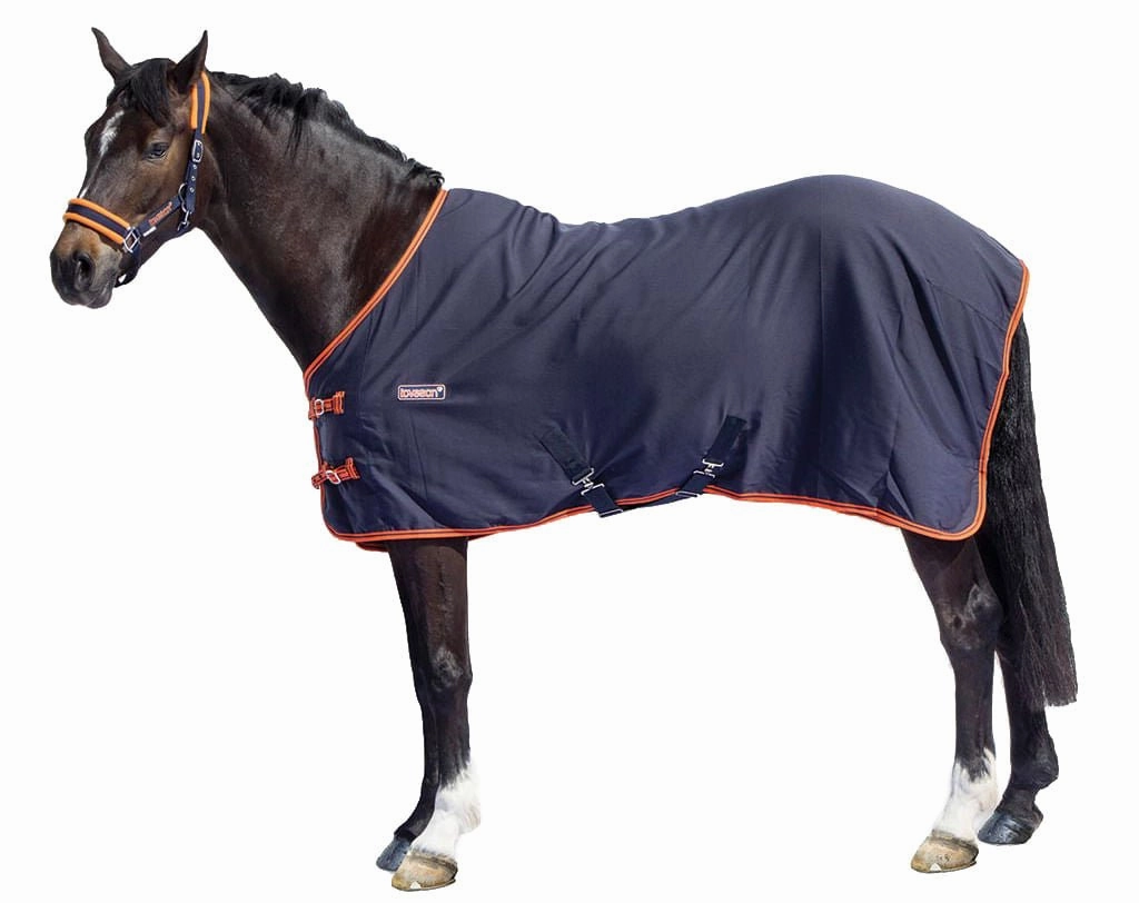Loveson Stable Sheets, Navy/Navy/Orange