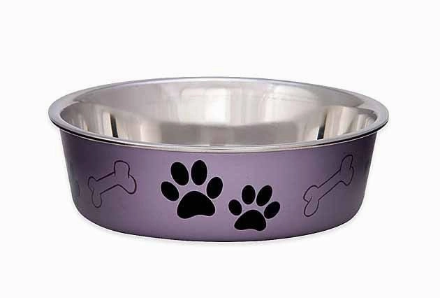 Loving Pets Bella Dog Bowls, Stainless Steel