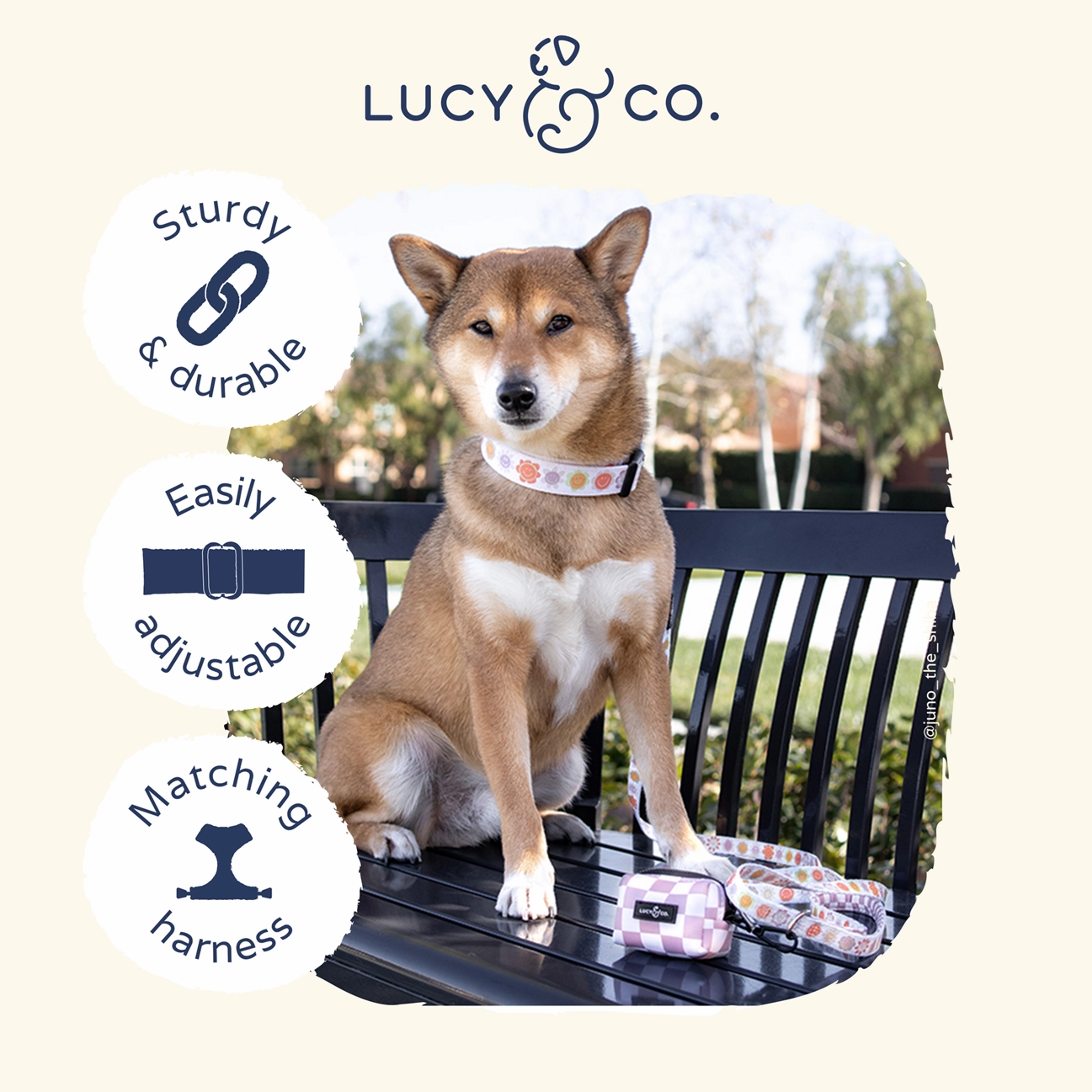 Lucy&Co Dog Collar: Hippity Hoppity