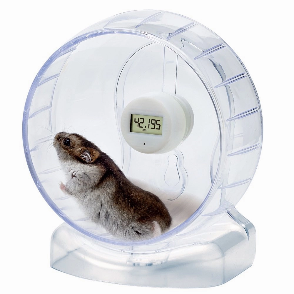 Marukan Clean & Clear Hamster Wheel With Running Meter (15cm)