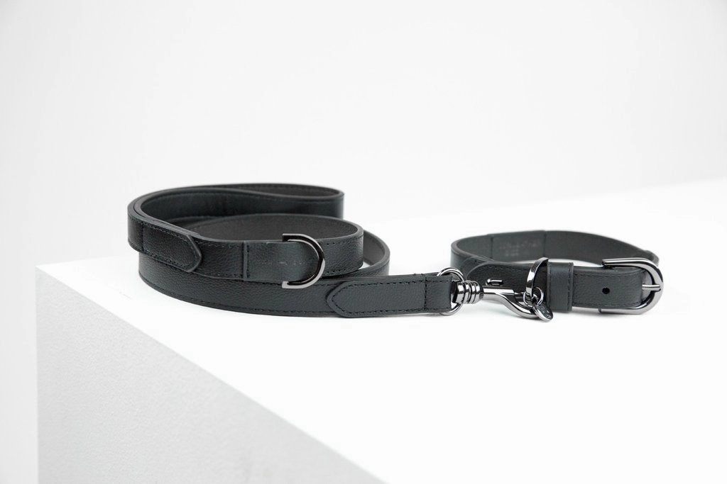 MaxBone Jet Black Dog Collar
