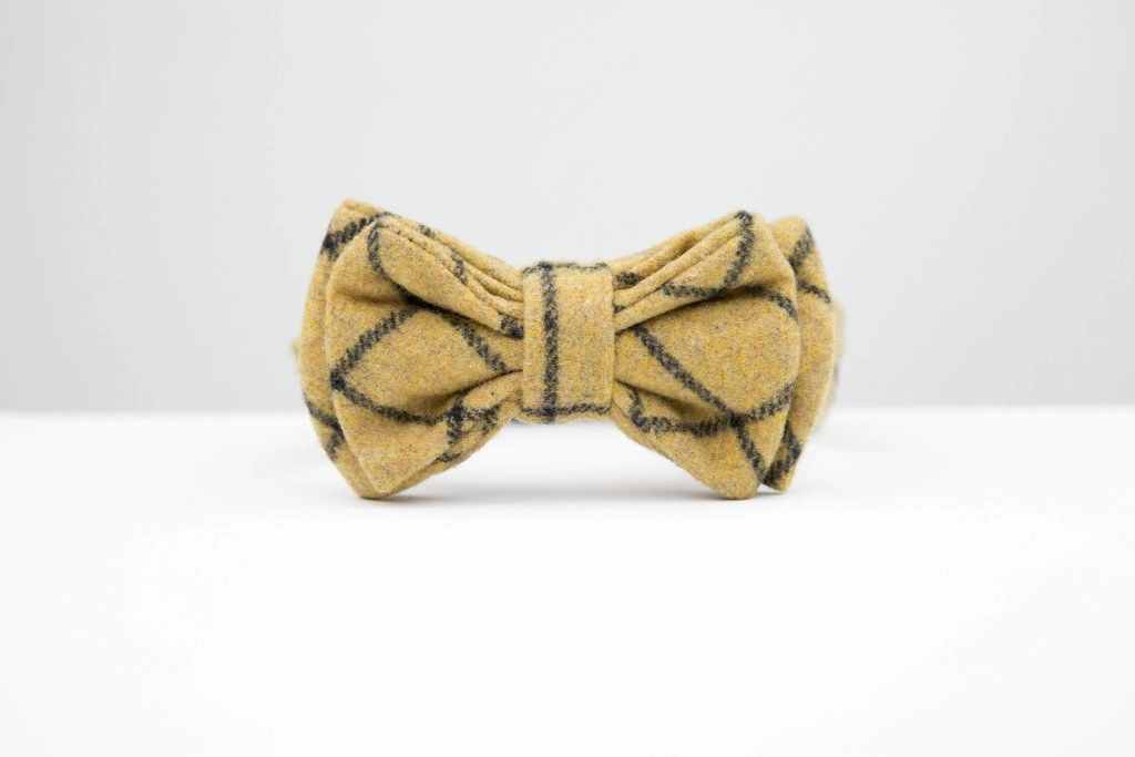 MaxBone Kensington Dog Bow Tie