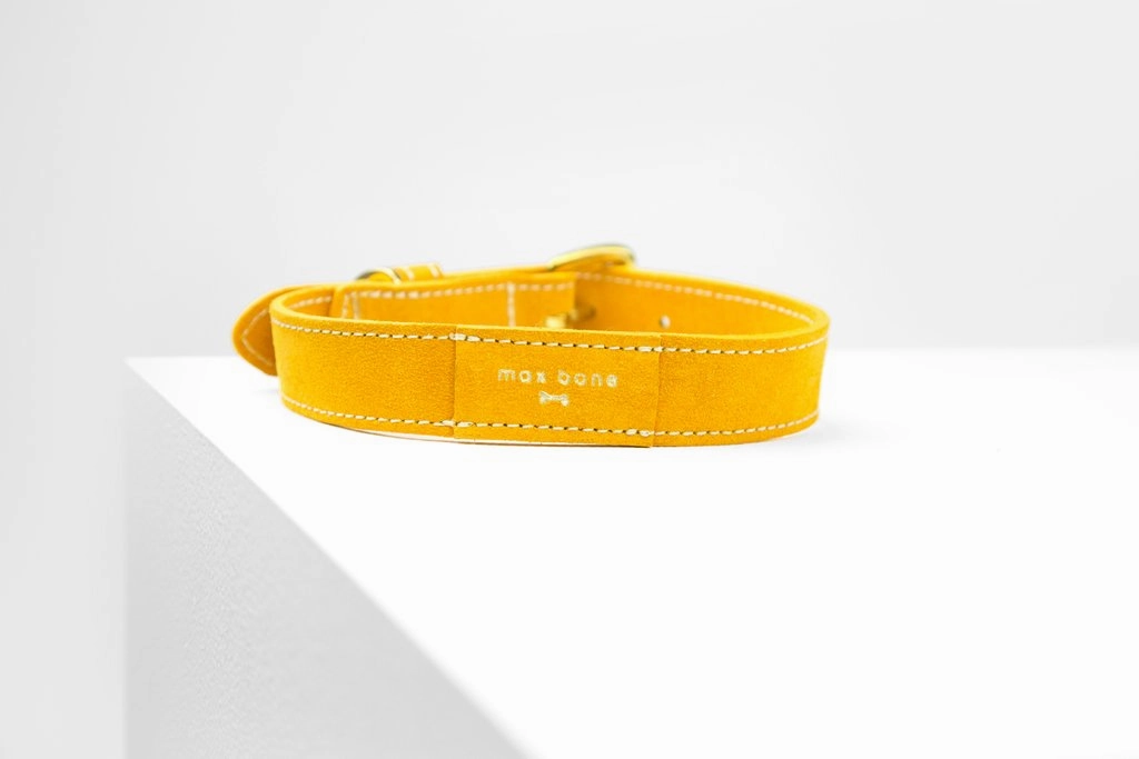 MaxBone Vanessa Dog Collar