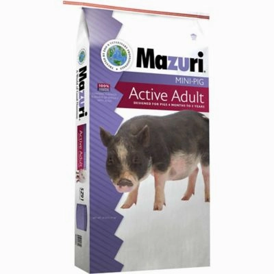 Mazuri Mini Pig Active Pig Food