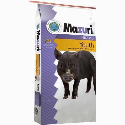 Mazuri Mini Pig Youth Pig Food