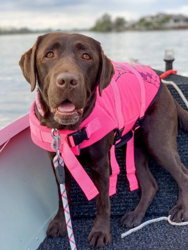 Mermaid Dog Life Jacket